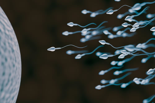 Successful Pregnancy and IVF Treatment Spells in Saudi Arabia